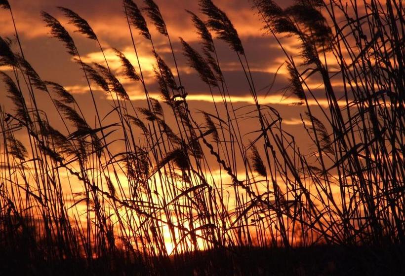 Отель Ferienhaeuser Aura