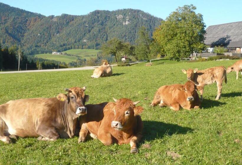 酒店 Ferienhof Grossgrub