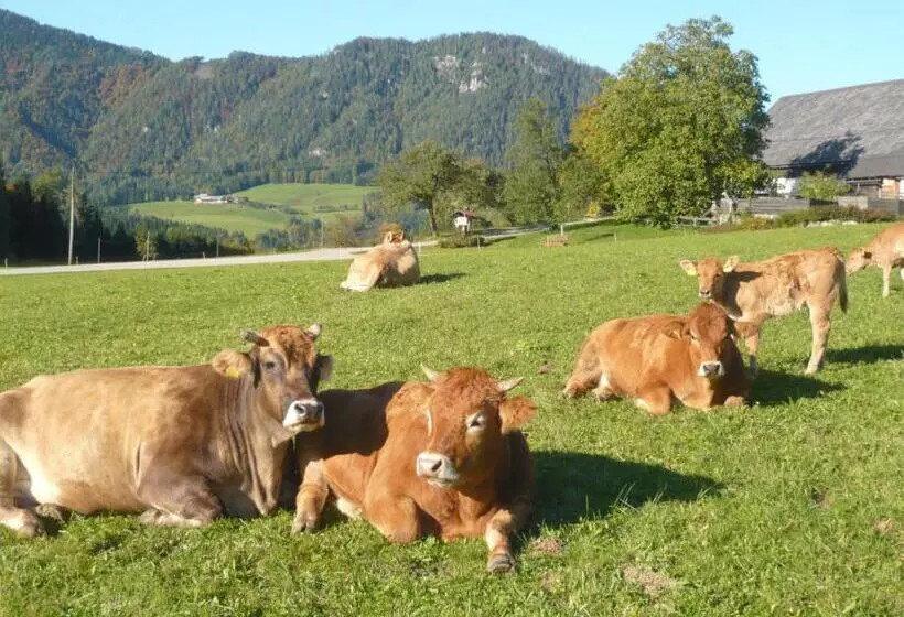 هتل Ferienhof Grossgrub