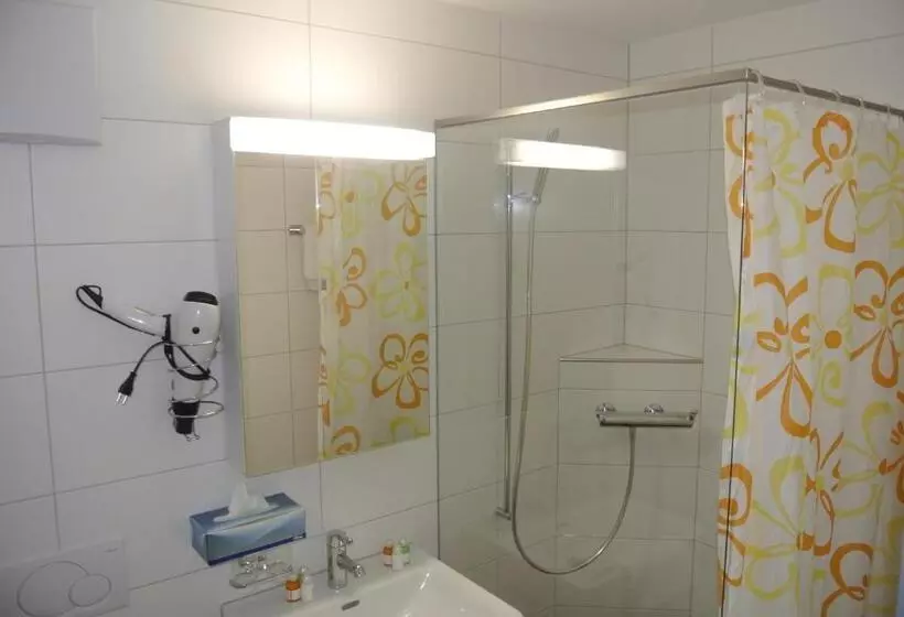 Hotelli Garni Bären Bazenheid
