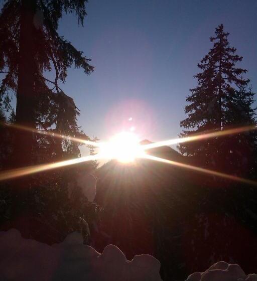 Отель Haus Enzian