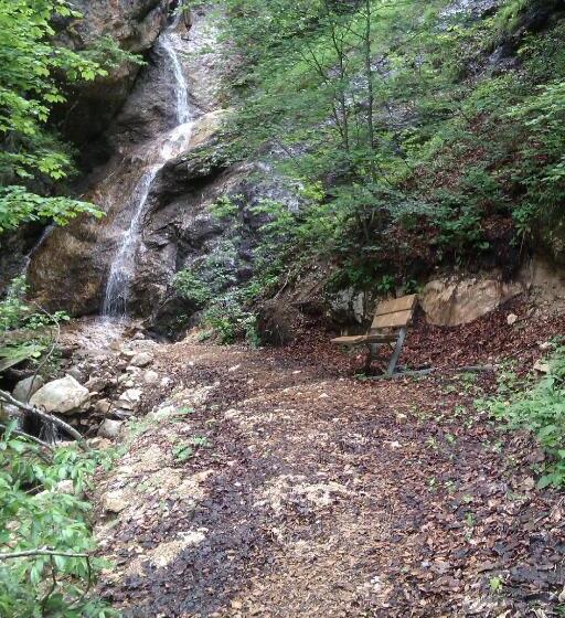 Отель Haus Enzian