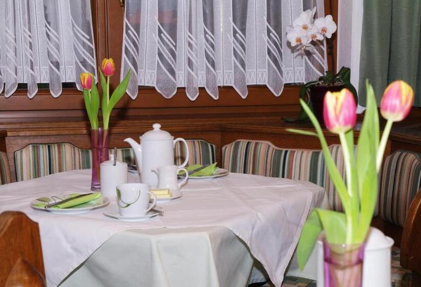 Отель Haus Enzian