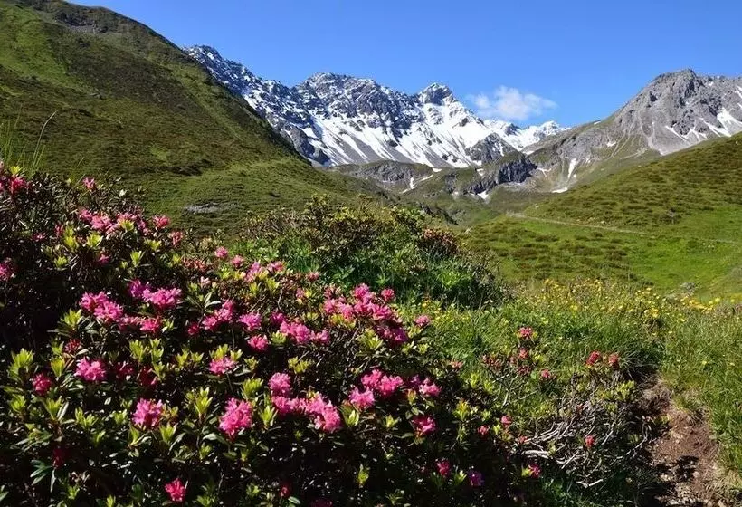 ホテル Hohe Promenade