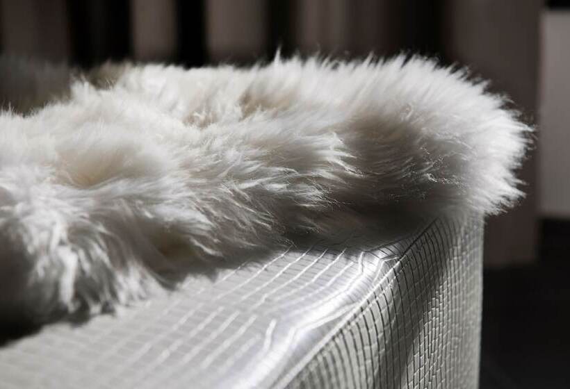 هتل Morosani Fiftyone The Room Only