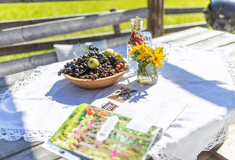 酒店 Oberhaslachhof