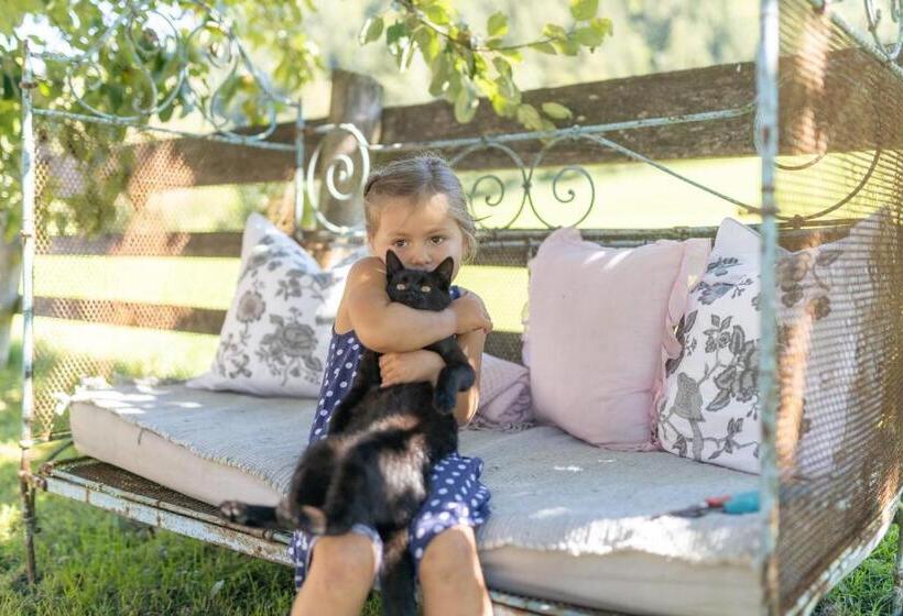 酒店 Oberhaslachhof