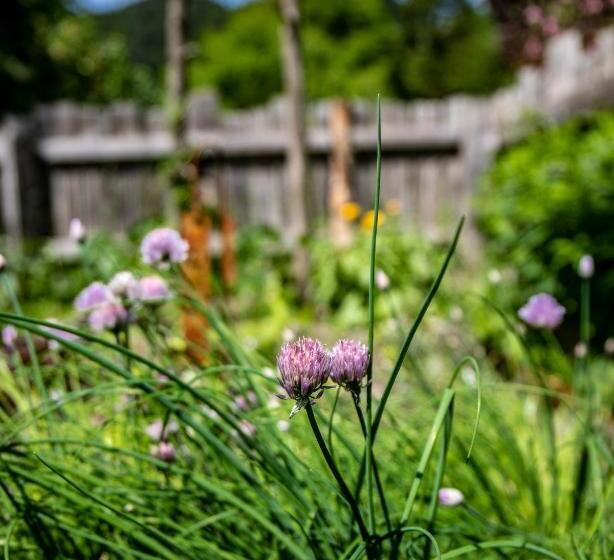 酒店 Oberhaslachhof