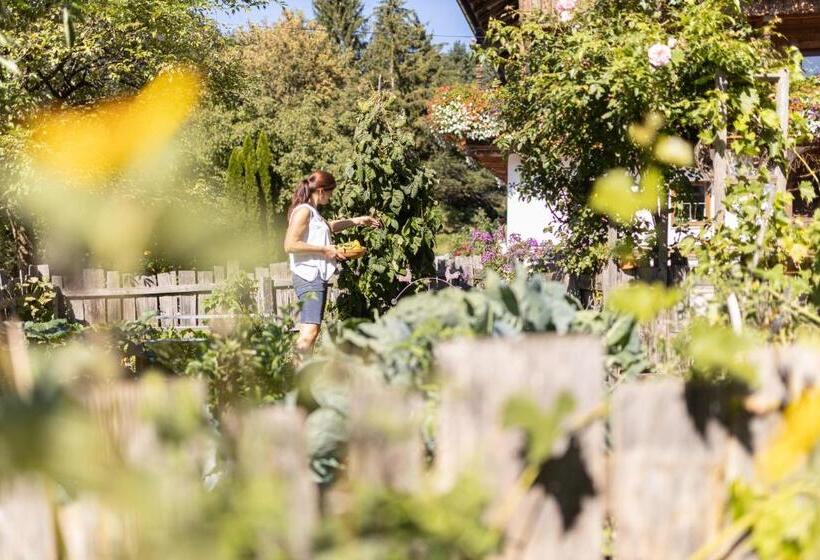 酒店 Oberhaslachhof