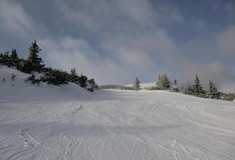 ホテル Pension Schwaiger