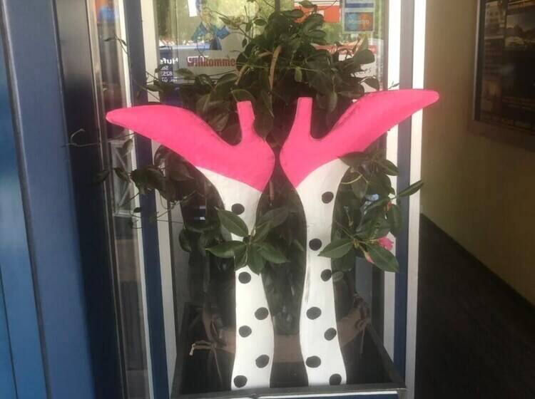 בית מלון כפרי Zak Neuhausen