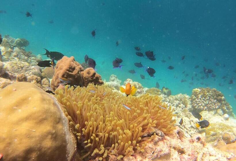 پانسیون Kamadhoo Inn