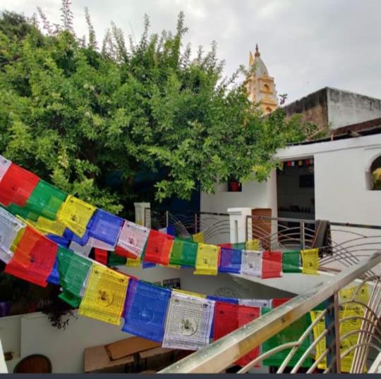 Aanand Palace Hostel