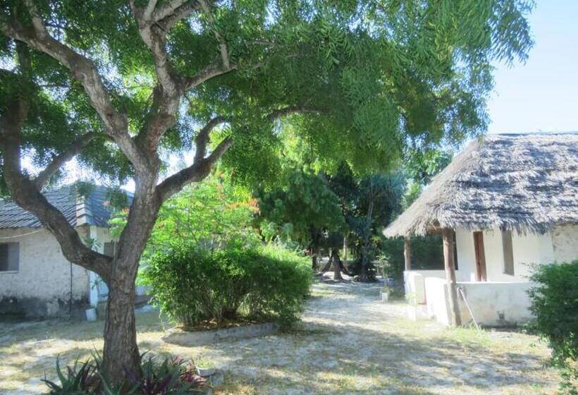 ベッドアンドブレックファースト Bwejuu Garden View Bungalows