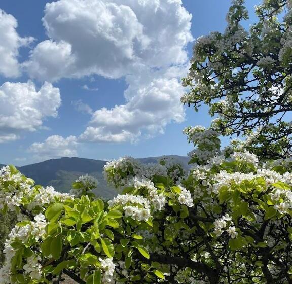 Bed & Breakfast Gevorgyans