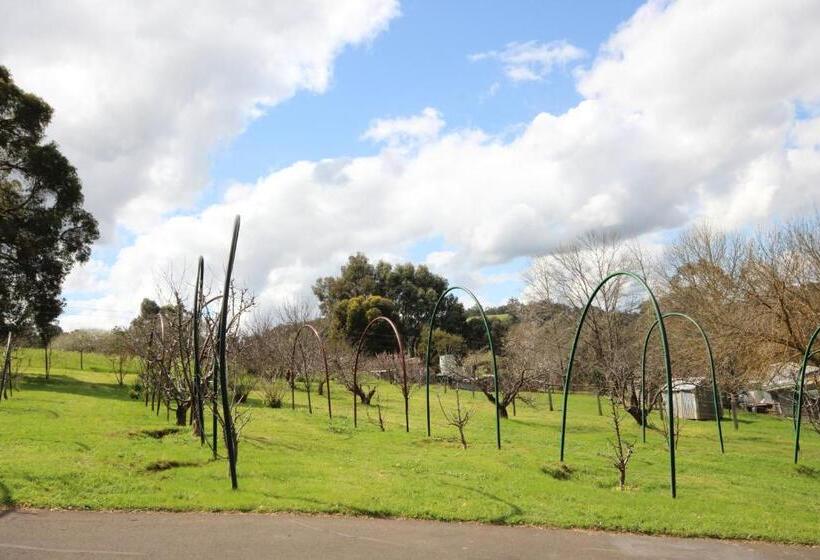 فندق Elysian Bridgetown