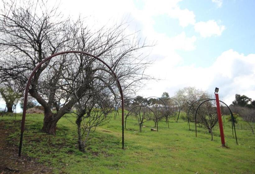 فندق Elysian Bridgetown