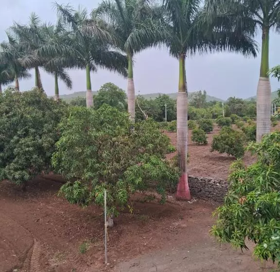 ホテル Gir Somnath Resorts