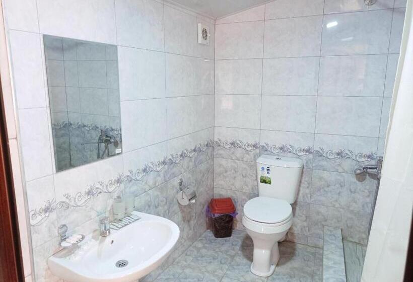 ホテル Retro Amir