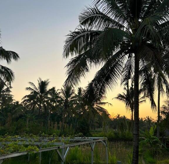 Пансион Rinjani Eco Villa Senaru