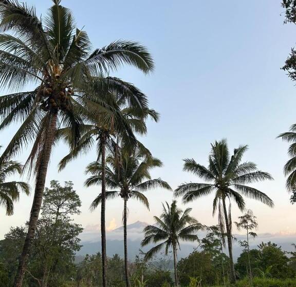 Пансион Rinjani Eco Villa Senaru