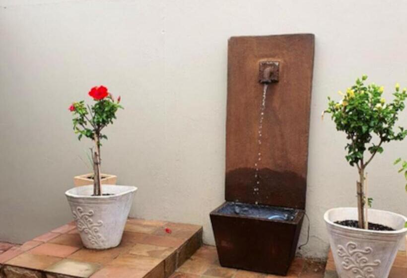 פנסיון Stay At 12 Guesthouse And Selfcatering