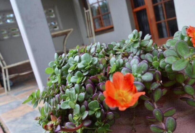 פנסיון Stay At 12 Guesthouse And Selfcatering