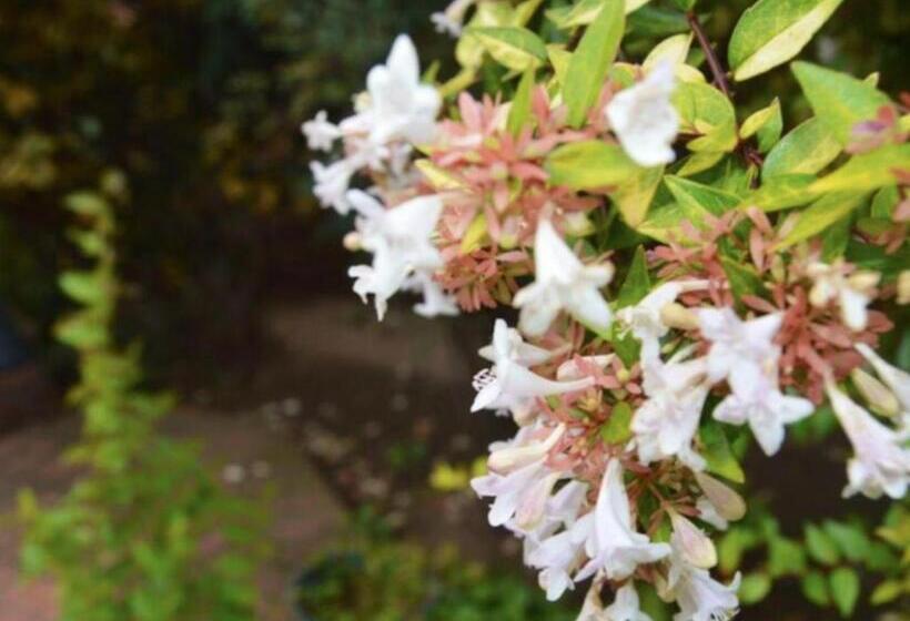 פנסיון Stay At 12 Guesthouse And Selfcatering