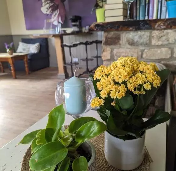 Majatalo The Willoughby