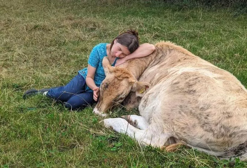 Majatalo The Willoughby