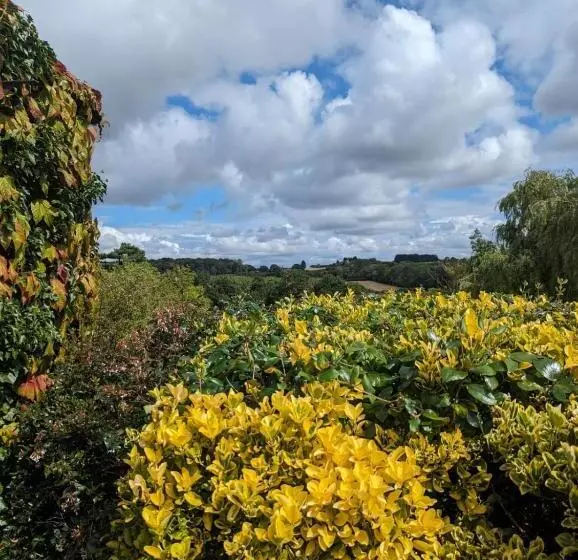 Majatalo The Willoughby