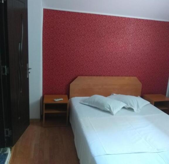 Majatalo Vila Ana Lăcrămioara Concept