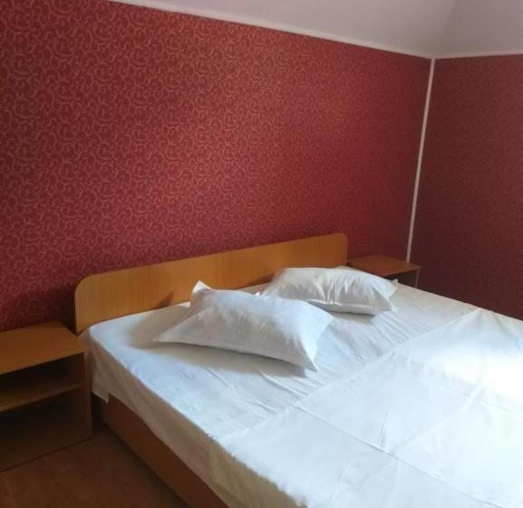 Majatalo Vila Ana Lăcrămioara Concept