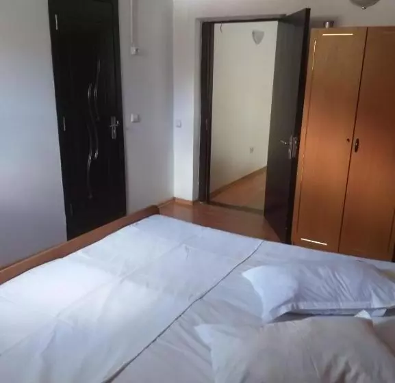 ペンション Vila Ana Lăcrămioara Concept
