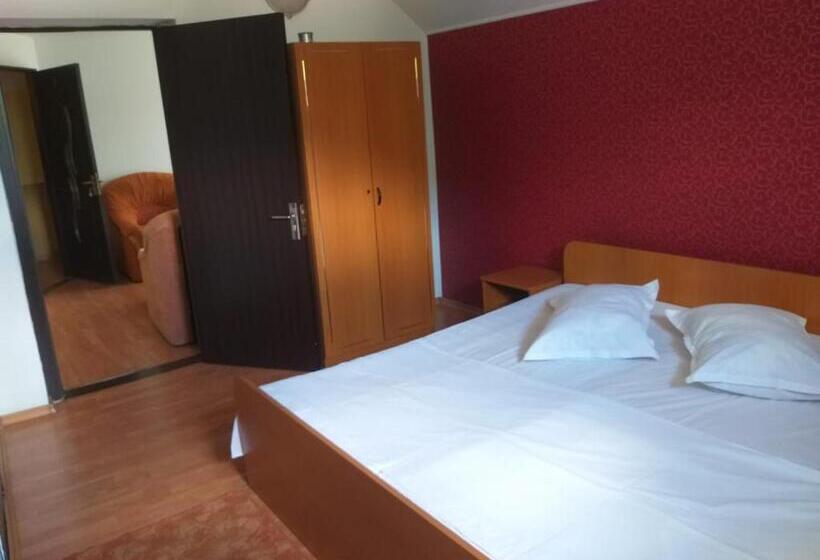 Majatalo Vila Ana Lăcrămioara Concept