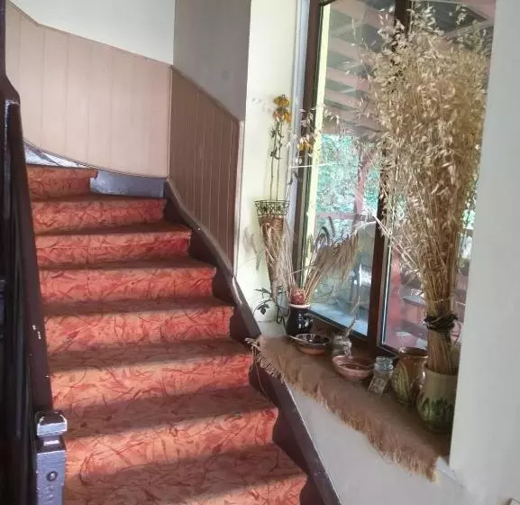 ペンション Vila Ana Lăcrămioara Concept