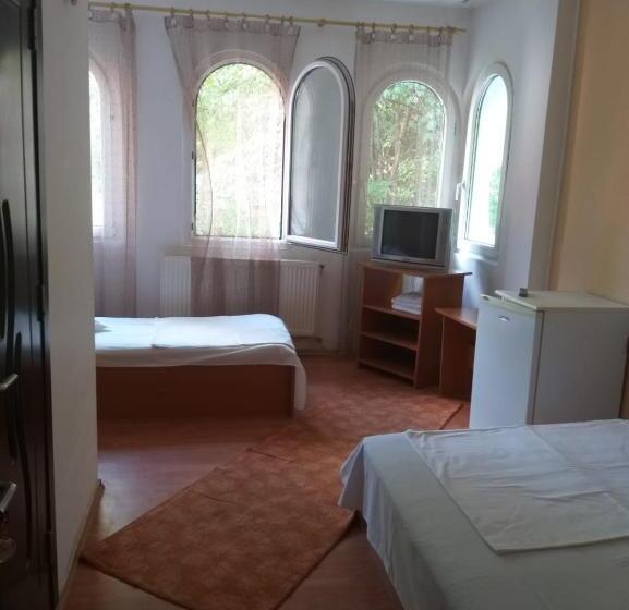 Majatalo Vila Ana Lăcrămioara Concept