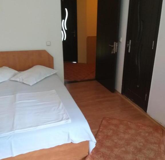 Majatalo Vila Ana Lăcrămioara Concept