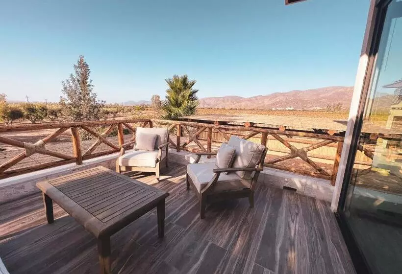 Penthouse At Hotel Boutique Valle De Guadalupe