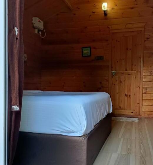 Kurort  Greenland Cottage S