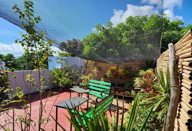 צימר Nober Pension House City Center