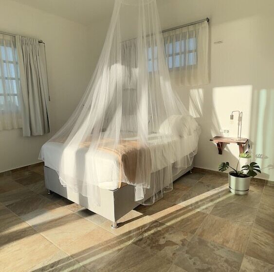 Hotel Casa Poeta Punta Cocos