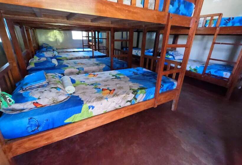 فندق Gratum Beach Resort