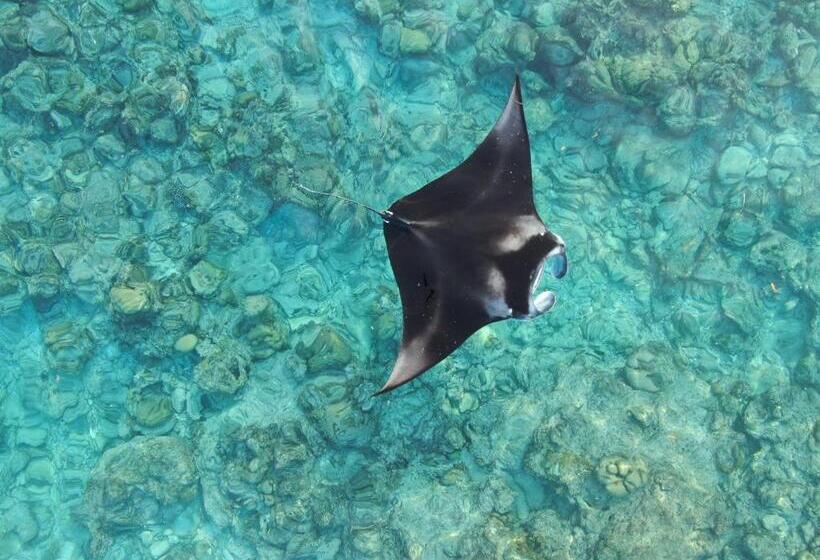 پانسیون Heavenly Residence