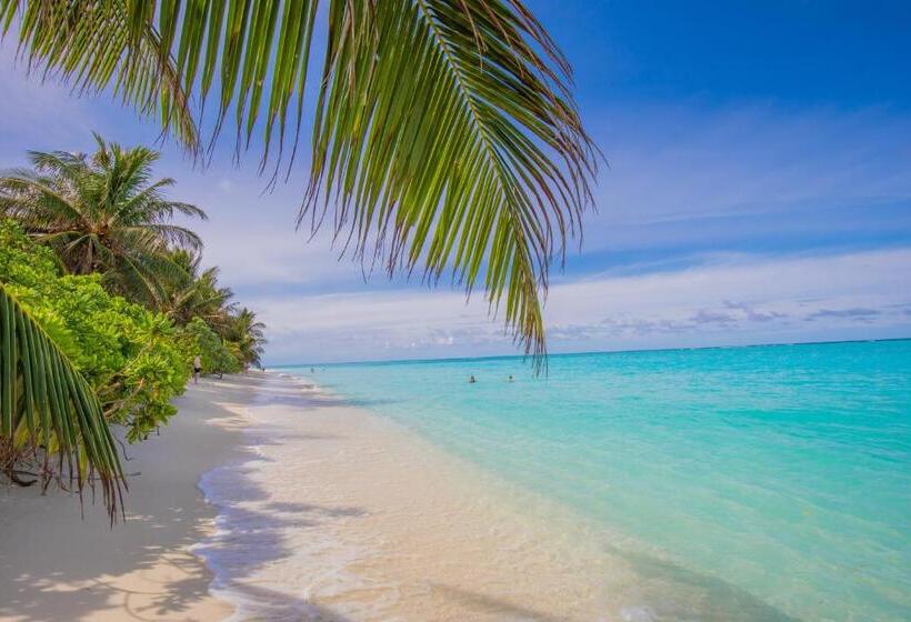 پانسیون Heavenly Residence