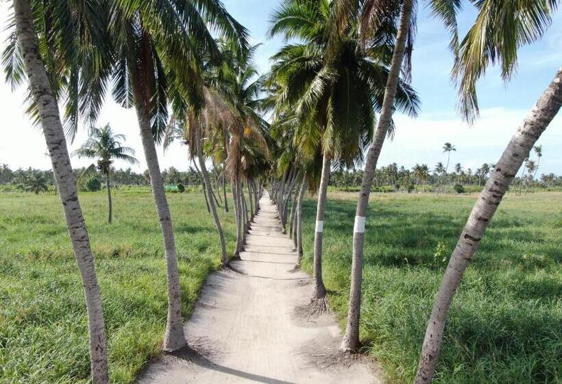 پانسیون Heavenly Residence