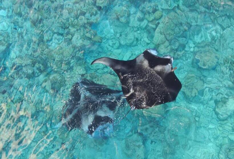 پانسیون Heavenly Residence