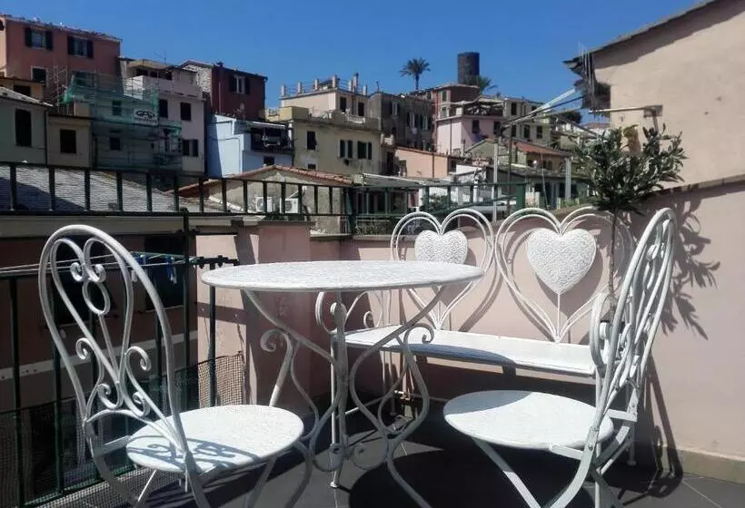 پانسیون The Terrace