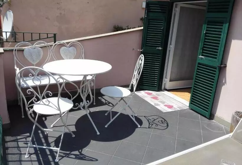 پانسیون The Terrace