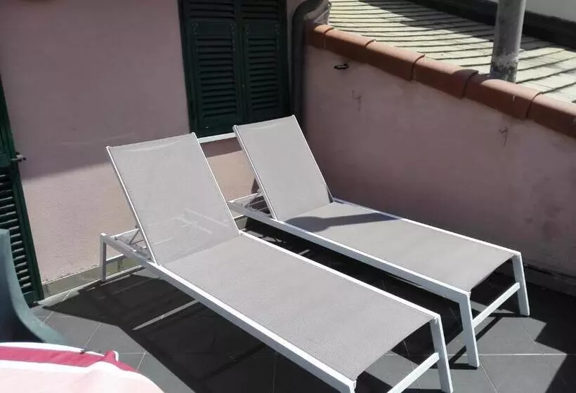 پانسیون The Terrace